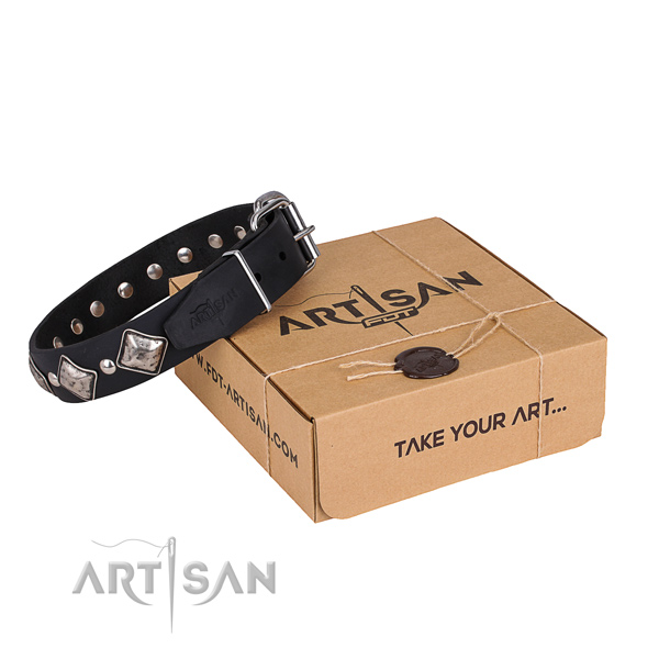 Day-to-day leather dog collar with elegant embellishments
