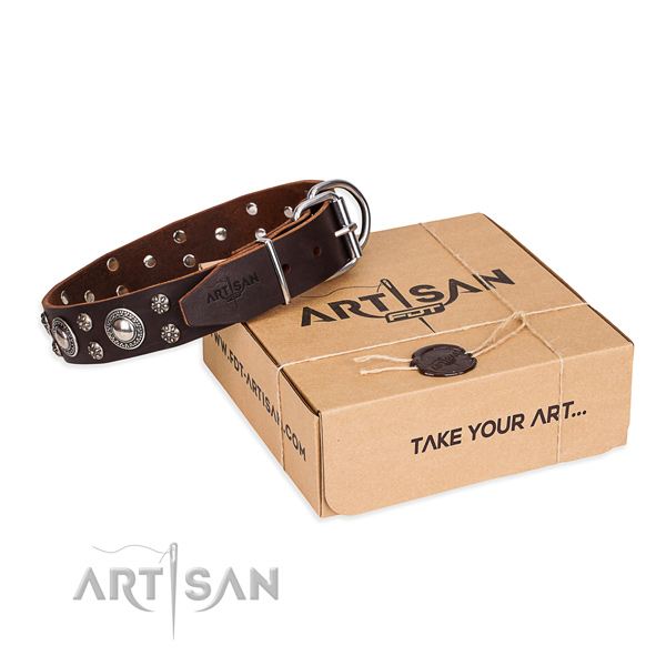 Casual style leather dog collar with elegant adornments