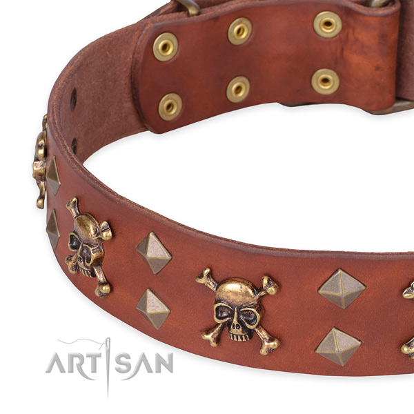 Daily leather dog collar with extraordinary decorations