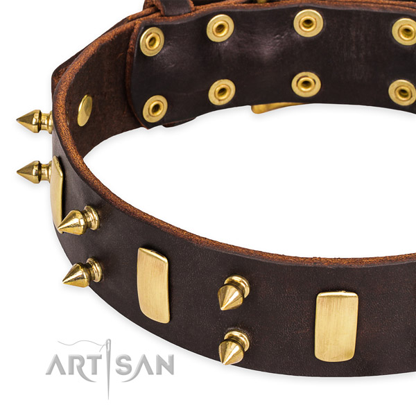 Quick to fasten leather dog collar with extra strong non-rusting set of hardware