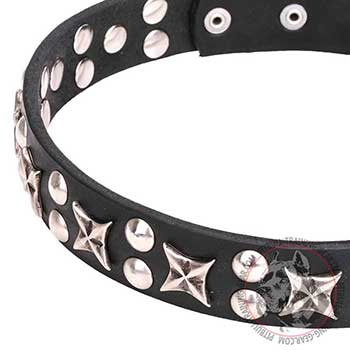 Pit Bull Dog Collar with Chrome Fineries