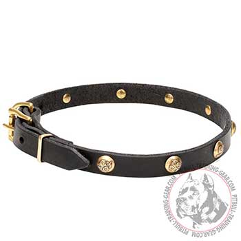 Genuine leather Pitbull collar with studs