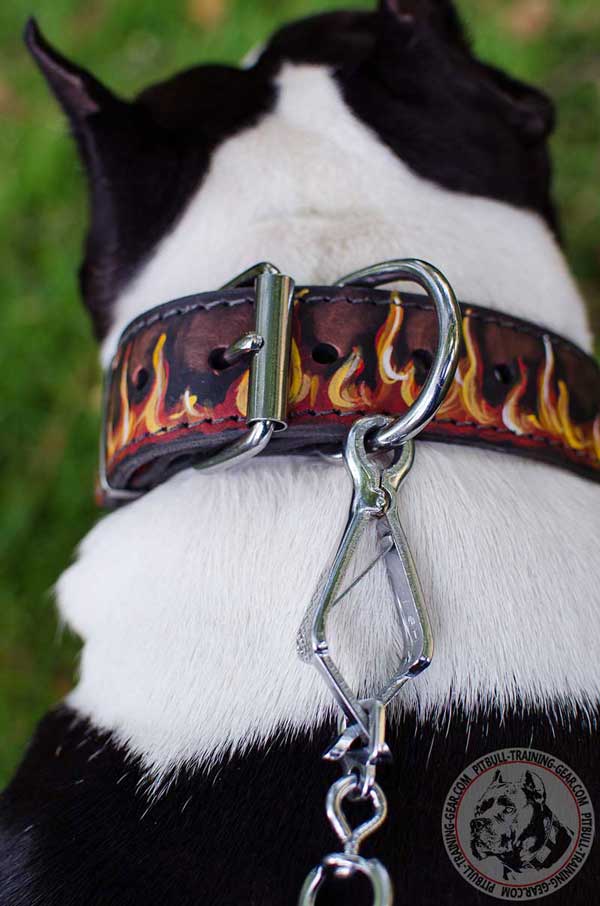 Reliable Hardware for Easy Lead Attachment and Adjusting Painted Leather Dog Collar