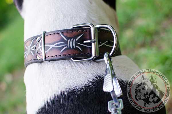 Durable Fittings on Leather Dog Collar for Pitbull