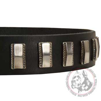 Rust Proof Nickel Plates on Designer Leather Dog Collar