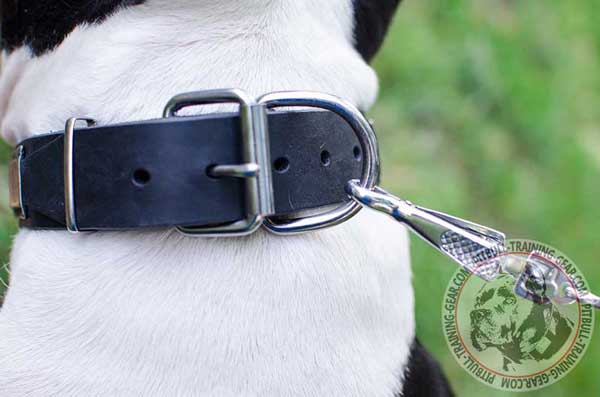 Strong rust-proof nickel plated fittings on leather dog collar