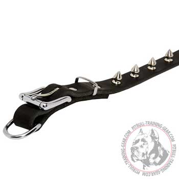 Sturdy nickel plated hardware of decorated leather dog collar for Pitbull