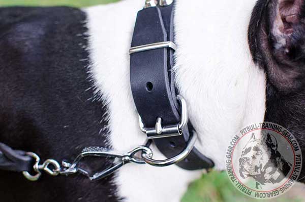 Nickel Plated Hardware of Leather Dog Collar for Leash Fixation