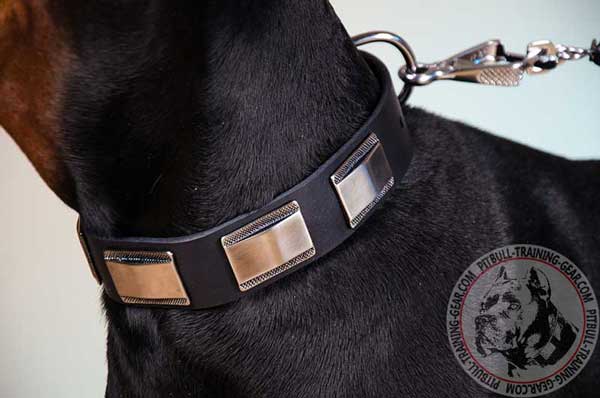 Massive nickel plates of fashion leather dog collar