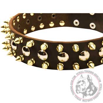 Leather Pit Bull Collar with Hand Set Studs and Spikes for Walking