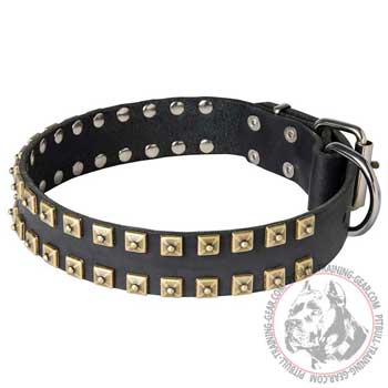 Walking Wide Strong Brown Leather Dog Collar for Pit Bull