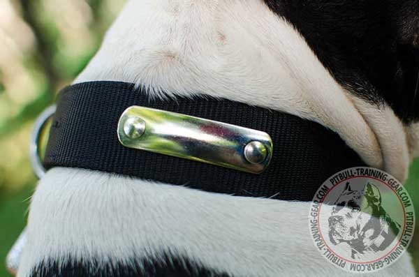 Durable Easy Adjustable Nylon Collar for Pit Bull