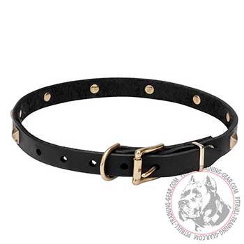 Leather Collar for Pit Bulls, rustproof brass-plated hardware