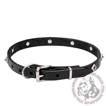 Leather Dog Collar, rustproof belt-buckle