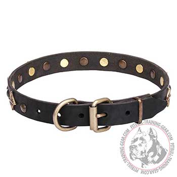 Dog Collar for Pit Bulls, strong hardware