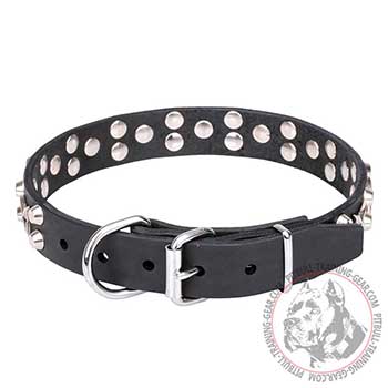 Dog Collar for Pit Bulls, 1 1/5 (30 mm) wide