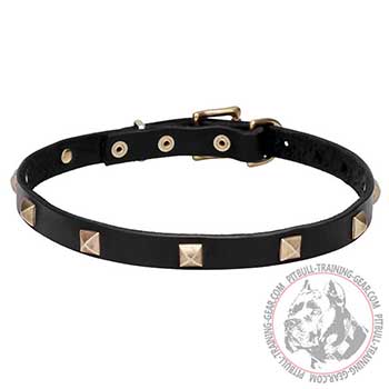 Leather Dog Collar, premium quality leather and stuff