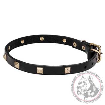 Leather Collar for Pit Bull Breed, handmade