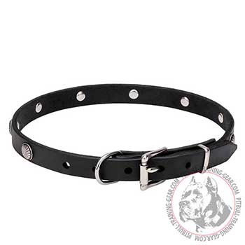 Leather Dog Collar, top quality materials