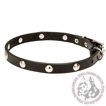 Leather Dog Collar, narrow leather strap