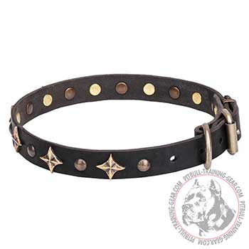 Dog Collar for Walking Pit Bulls with Rustproof Brass Elements