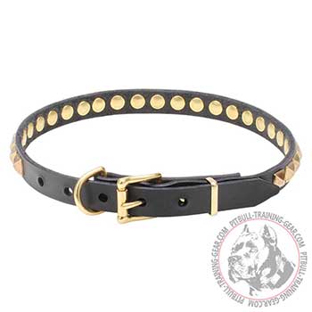Walking Dog Leather Collar, riveted decorations