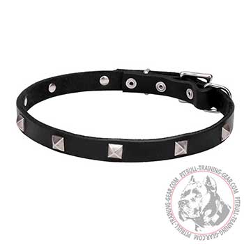 Leather Dog Collar with Chrome Plated Decorations