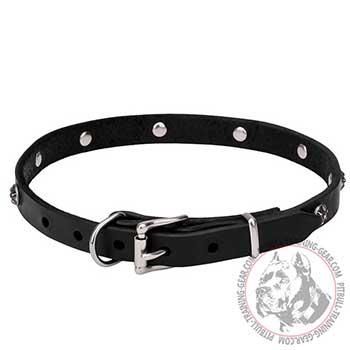 Leather Dog Collar with Chrome Plated Engraved Studs