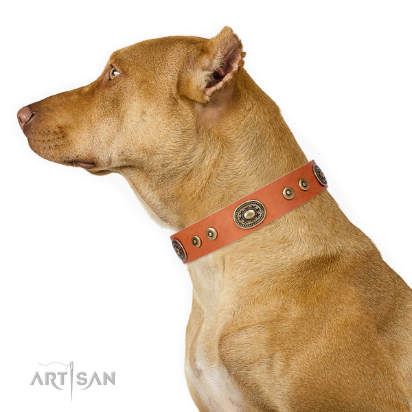 Amazing embellished natural leather dog collar for comfortable wearing