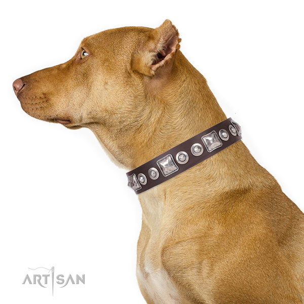 Unusual embellished natural leather dog collar for daily use