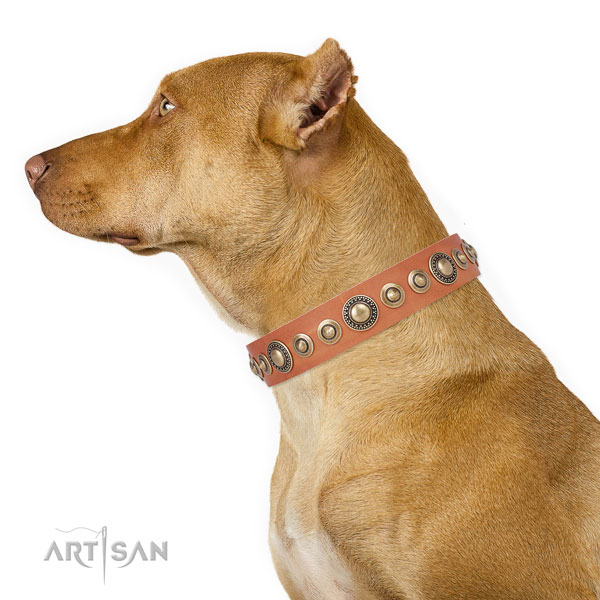 Corrosion proof buckle and D-ring on leather dog collar for walking