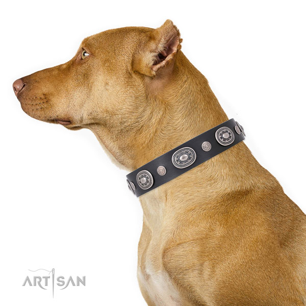 Reliable buckle and D-ring on full grain leather dog collar for daily walking