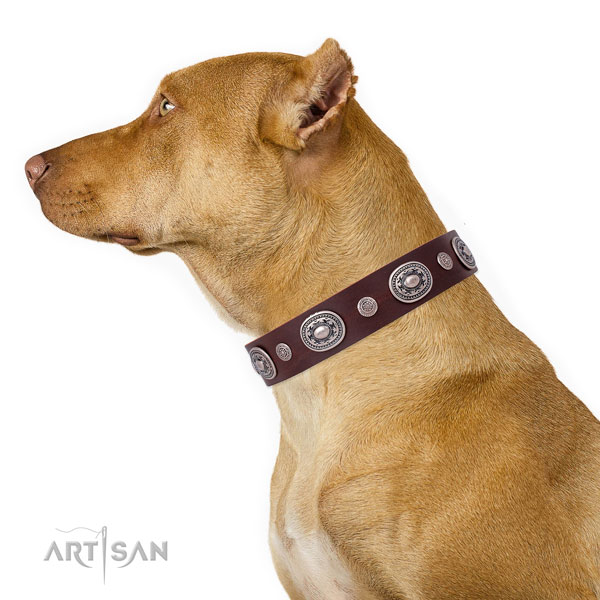 Corrosion proof buckle and D-ring on leather dog collar for walking in style