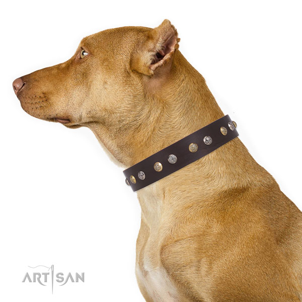 Full grain leather dog collar with rust-proof buckle and D-ring for handy use