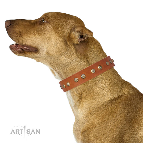 Awesome adornments on comfortable wearing genuine leather dog collar