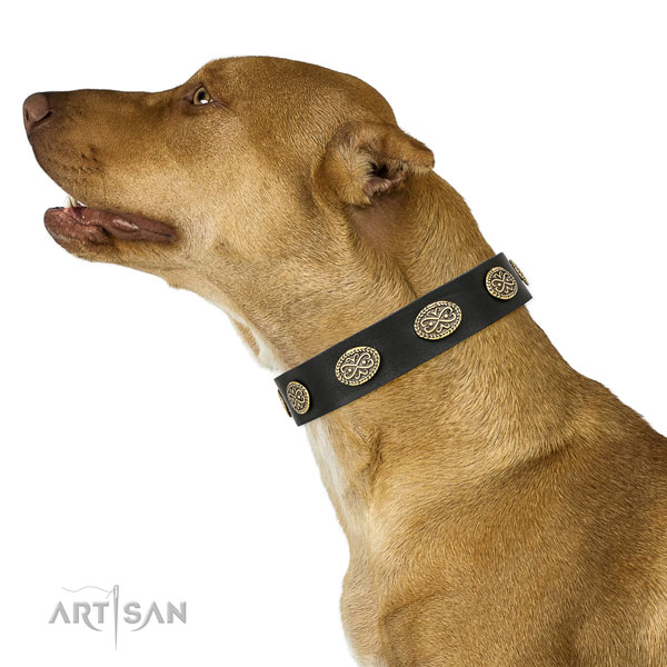 Significant embellishments on comfy wearing full grain leather dog collar