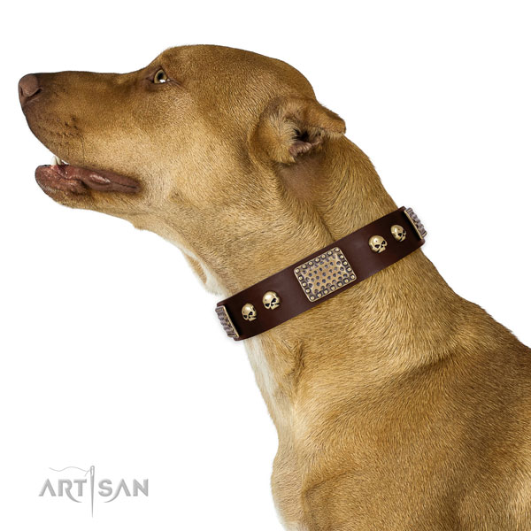 Rust resistant traditional buckle on genuine leather dog collar for basic training
