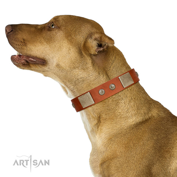 Rust resistant hardware on natural genuine leather dog collar for easy wearing