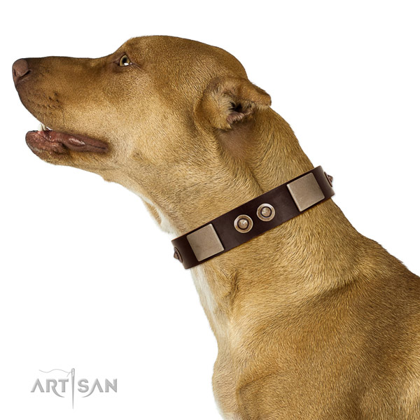 Corrosion proof traditional buckle on leather dog collar for handy use