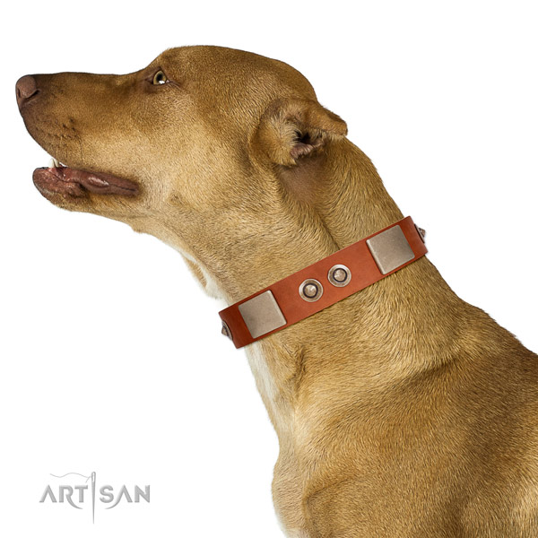 Durable fittings on natural genuine leather dog collar for fancy walking