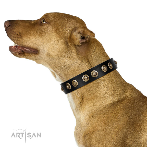 Comfy wearing dog collar of natural leather with unusual adornments