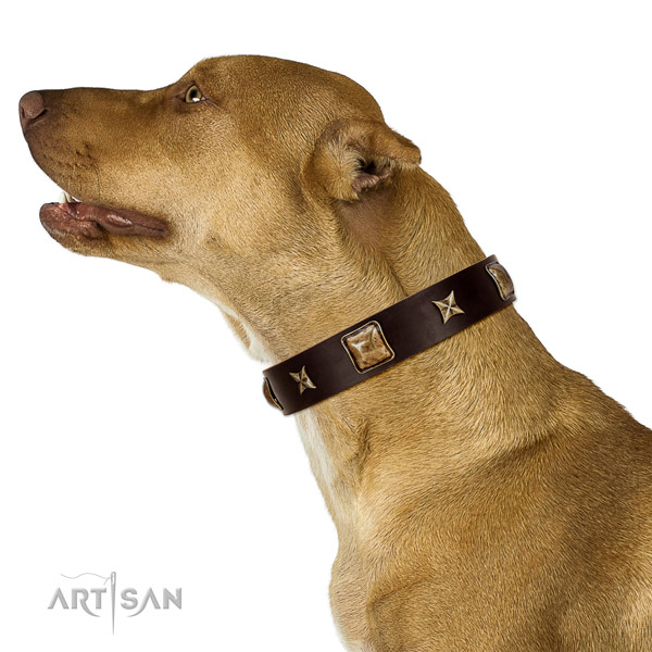 Top notch natural leather dog collar with studs