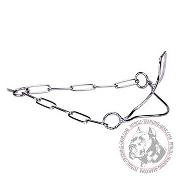 Pit Bull Chain Collar of Stainless Steel for Dog Shows