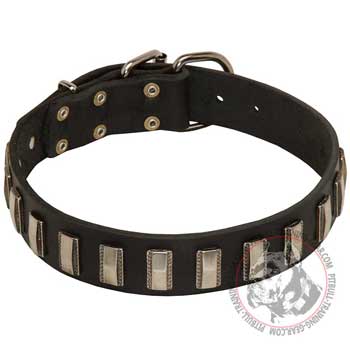 Fashion Leather Dog Collar for Pitbull Decorated with Stylish Nickel Plates