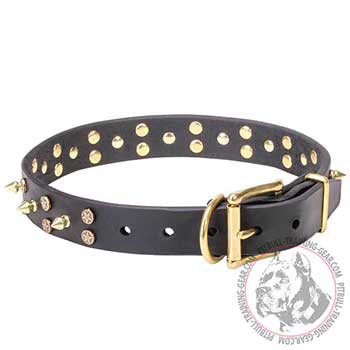 Full Grain Natural Leather Pitbull Dog Collar With Brass Hardware