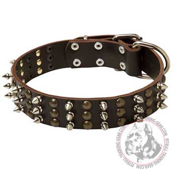 Pitbull Collar with Studs and Spikes