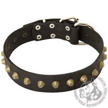 Brass Studs Decorated Leather Dog Collar for Pitbull