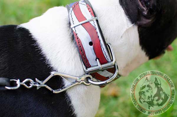 Leather Dog Collar for Pitbull with Durable Fittings