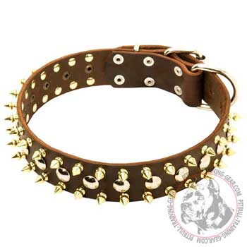 Spiked and Studded Fashion Leather Pitbull Collar