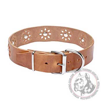 Leather Pitbull Collar Decorated with Flower Ornaments
